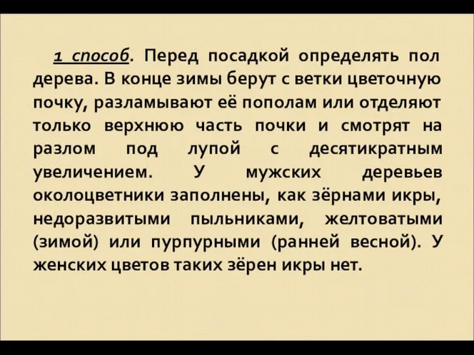 1 способ. Перед посадкой определять пол дерева. В конце зимы берут