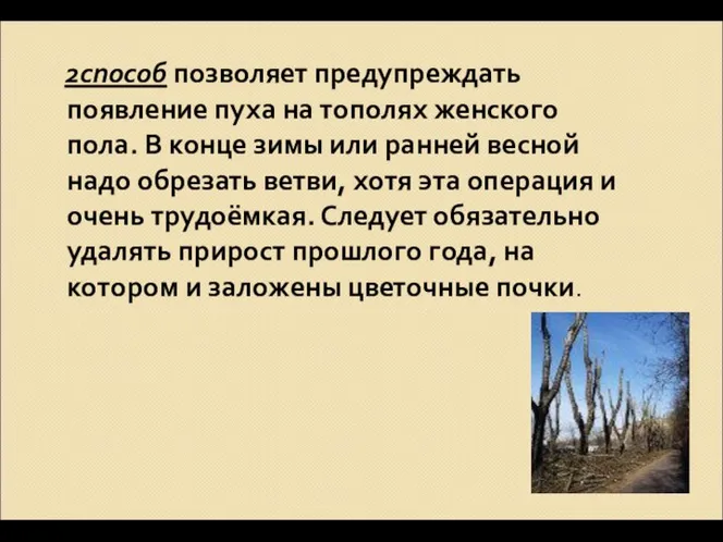 2способ позволяет предупреждать появление пуха на тополях женского пола. В конце