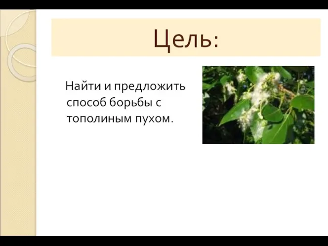 Цель: Найти и предложить способ борьбы с тополиным пухом.