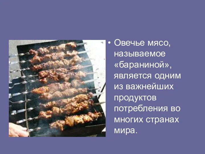 Овечье мясо, называемое «бараниной», является одним из важнейших продуктов потребления во многих странах мира.