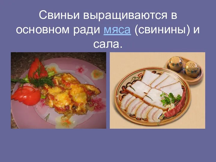 Свиньи выращиваются в основном ради мяса (свинины) и сала.