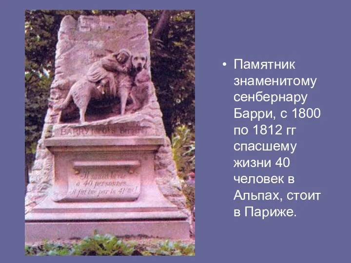 Памятник знаменитому сенбернару Барри, с 1800 по 1812 гг спасшему жизни