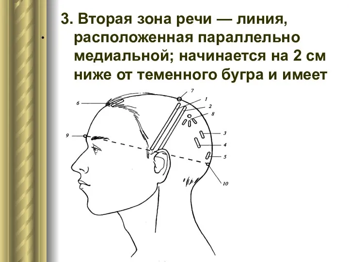 . 3. Вторая зона речи — линия, расположенная параллельно медиальной; начинается