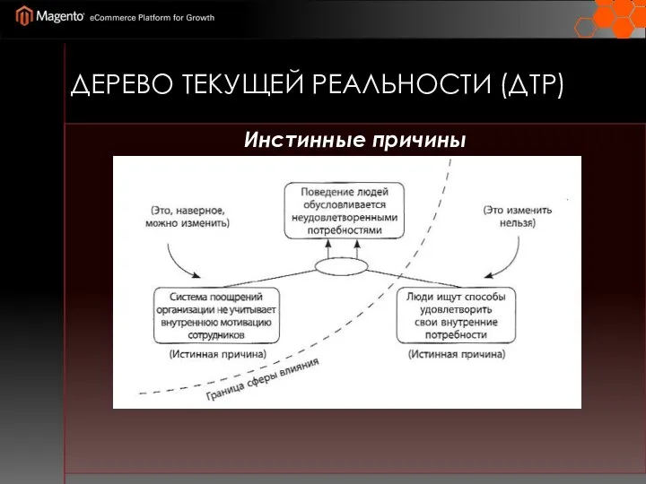 ДЕРЕВО ТЕКУЩЕЙ РЕАЛЬНОСТИ (ДТР) Инстинные причины