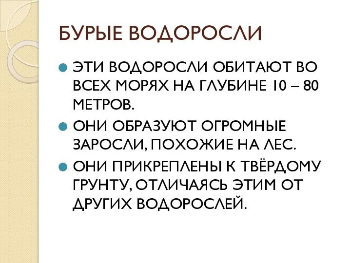 БУРЫЕ ВОДОРОСЛИ ЭТИ ВОДОРОСЛИ ОБИТАЮТ ВО ВСЕХ МОРЯХ НА ГЛУБИНЕ 10