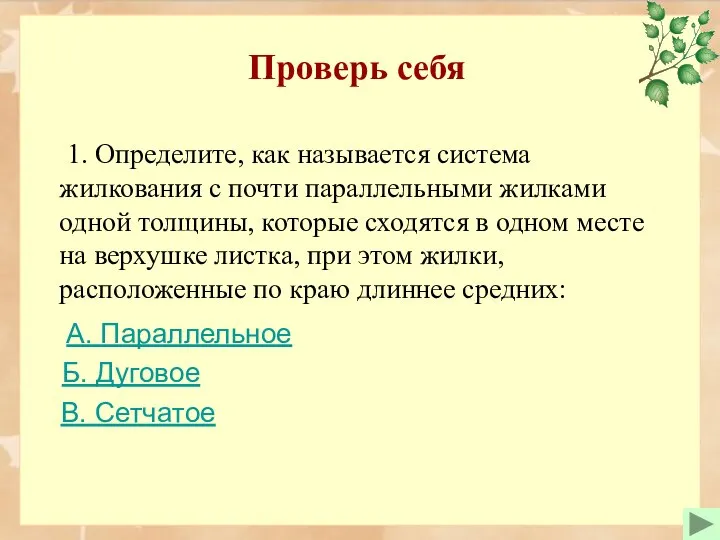 Проверь себя 1. Определите, как называется система жилкования с почти параллельными