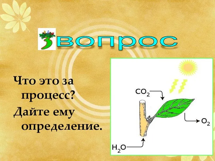 Что это за процесс? Дайте ему определение. вопрос