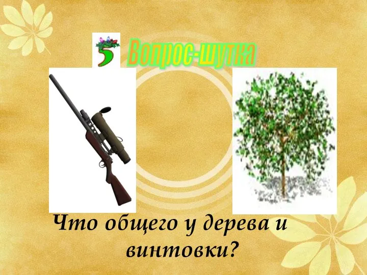 Что общего у дерева и винтовки? Вопрос-шутка