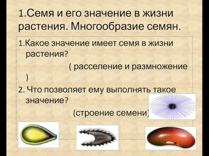 1.Семя и его значение в жизни растения. Многообразие семян. 1.Какое значение