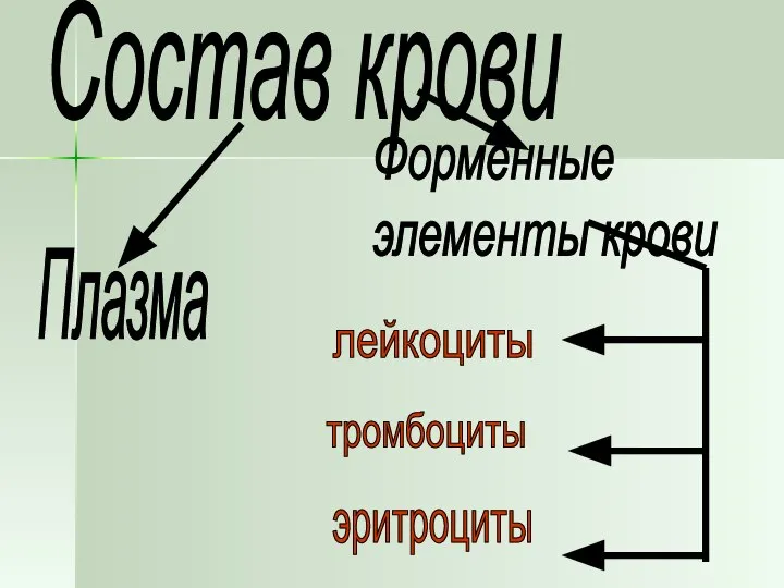 Состав крови Плазма Форменные элементы крови лейкоциты тромбоциты эритроциты