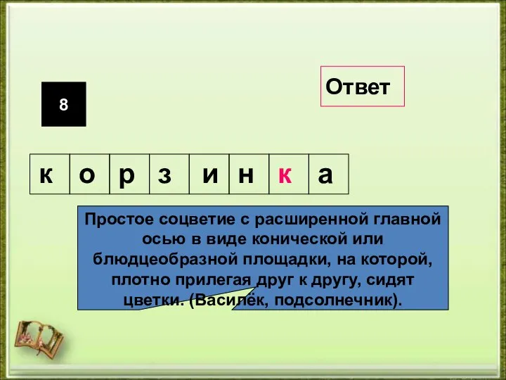 8 Простое соцветие с расширенной главной осью в виде конической или