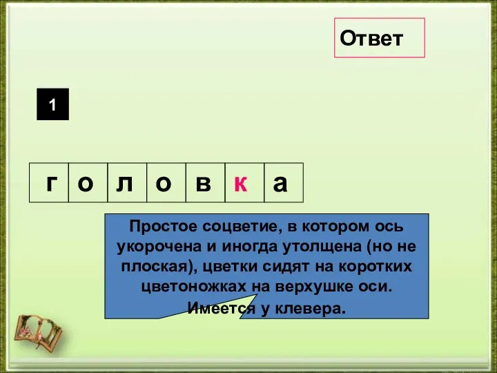 Простое соцветие, в котором ось укорочена и иногда утолщена (но не