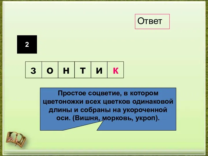 2 Простое соцветие, в котором цветоножки всех цветков одинаковой длины и