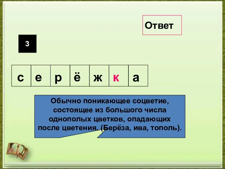 3 Обычно поникающее соцветие, состоящее из большого числа однополых цветков, опадающих