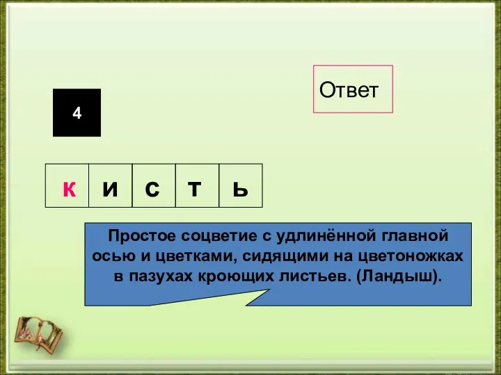 4 Простое соцветие с удлинённой главной осью и цветками, сидящими на