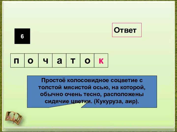 6 Простоё колосовидное соцветие с толстой мясистой осью, на которой, обычно