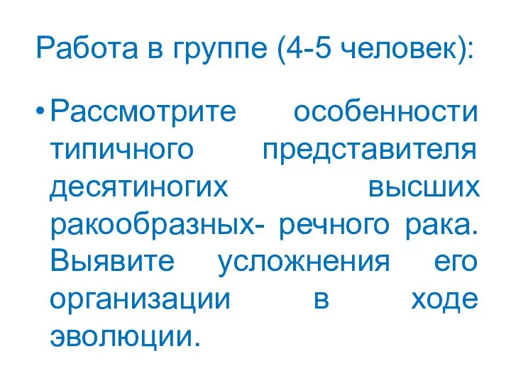 Работа в группе (4-5 человек): Рассмотрите особенности типичного представителя десятиногих высших