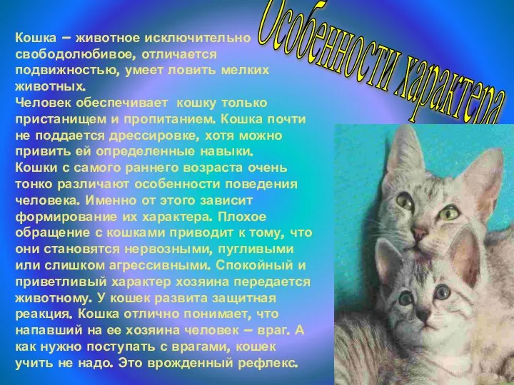 Особенности характера Кошка – животное исключительно свободолюбивое, отличается подвижностью, умеет ловить