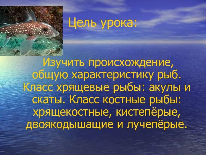 Цель урока: Изучить происхождение, общую характеристику рыб. Класс хрящевые рыбы: акулы