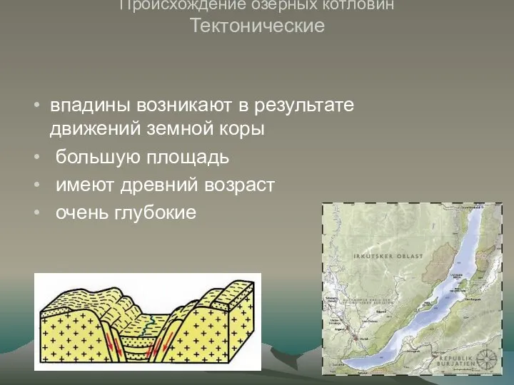 Происхождение озерных котловин Тектонические впадины возникают в результате движений земной коры