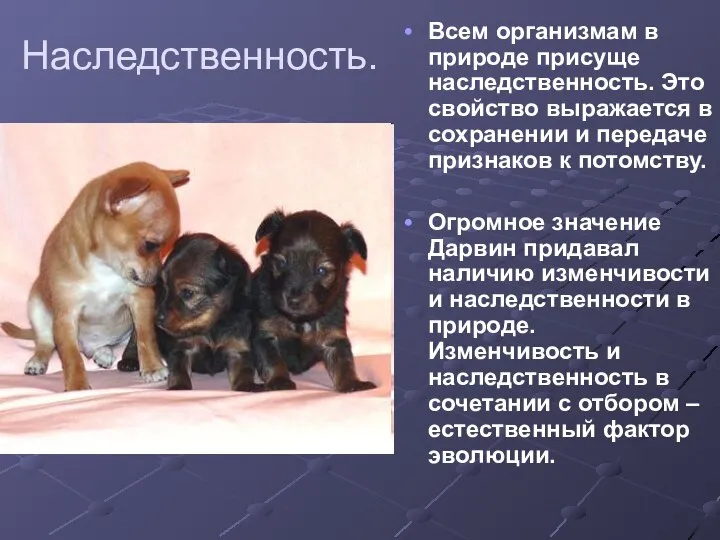 Наследственность. Всем организмам в природе присуще наследственность. Это свойство выражается в