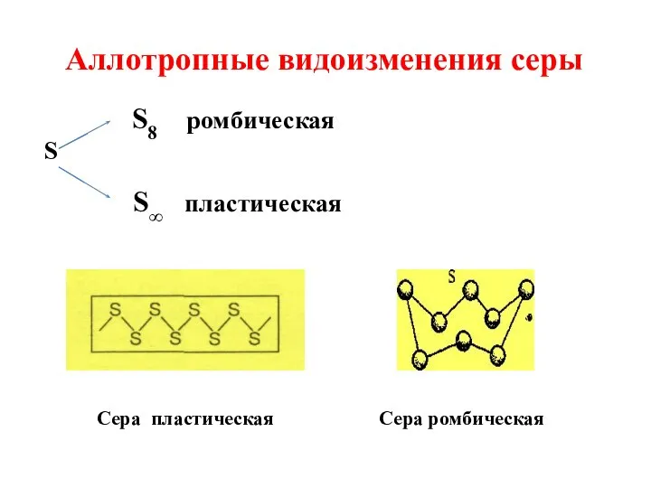 S8 ромбическая S S∞ пластическая Сера пластическая Сера ромбическая Аллотропные видоизменения серы