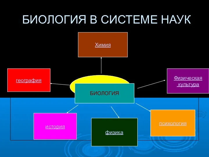 БИОЛОГИЯ В СИСТЕМЕ НАУК БИОЛОГИЯ БИОЛОГИЯ география Химия Физическая культура история физика психология