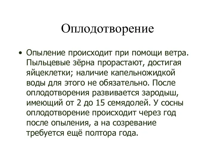 Оплодотворение Опыление происходит при помощи ветра. Пыльцевые зёрна прорастают, достигая яйцеклетки;