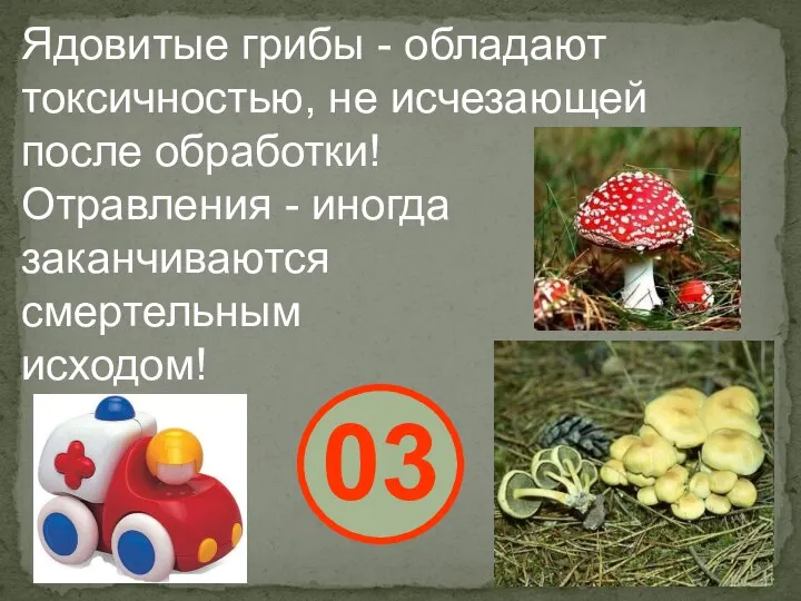 Ядовитые грибы - обладают токсичностью, не исчезающей после обработки! Отравления - иногда заканчиваются смертельным исходом! 03