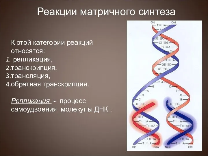 К этой категории реакций относятся: репликация, транскрипция, трансляция, обратная транскрипция. Репликация