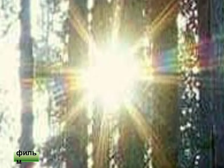 Значение фотосинтеза «… луч солнца… упал на зелёную былинку пшеничного ростка