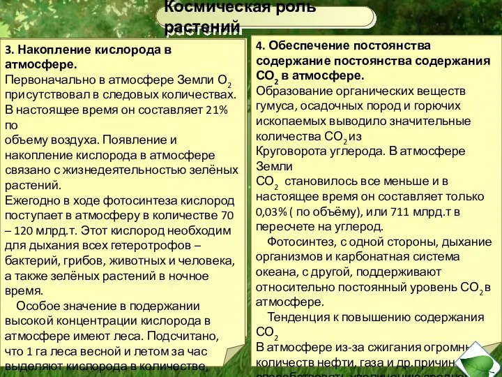 2.Озоновый экран Ещё одно важнейшее следствие выделения растениями кислорода – образование