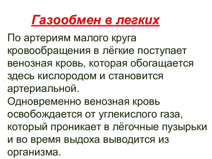 Газообмен в легких По артериям малого круга кровообращения в лёгкие поступает