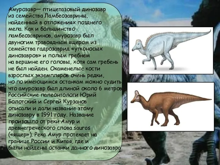 Амурозавр— птицетазовый динозавр из семейства Ламбеозаврины, найденный в отложениях позднего мела.