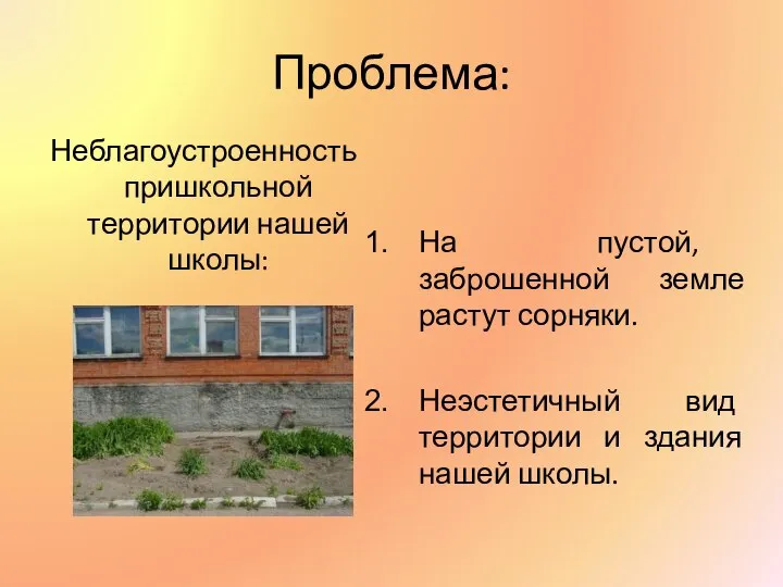 Проблема: Неблагоустроенность пришкольной территории нашей школы: На пустой, заброшенной земле растут