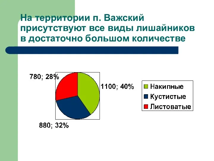 На территории п. Важский присутствуют все виды лишайников в достаточно большом количестве