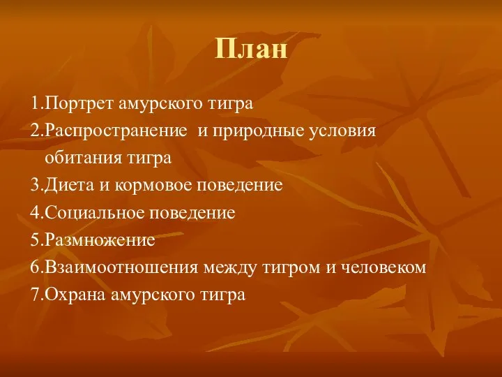 План 1.Портрет амурского тигра 2.Распространение и природные условия обитания тигра 3.Диета