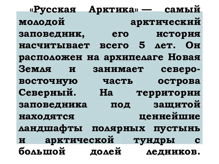 «Русская Арктика» — самый молодой арктический заповедник, его история насчитывает всего