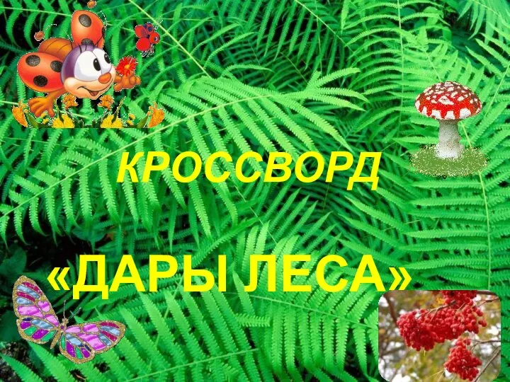 Кроссворд «Дары леса»