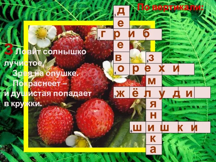 По вертикали: 3. Ловит солнышко лучистое, Зрея на опушке. Покраснеет –