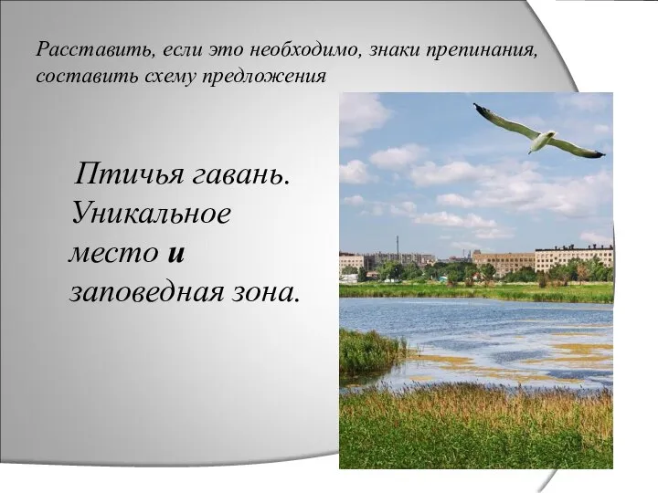 Расставить, если это необходимо, знаки препинания, составить схему предложения Птичья гавань. Уникальное место и заповедная зона.