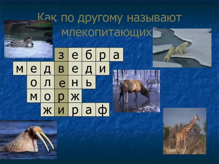 Как по другому называют млекопитающих? е д и а р б