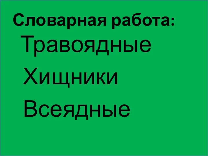 Словарная работа: Травоядные Хищники Всеядные