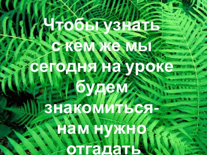 Чтобы узнать с кем же мы сегодня на уроке будем знакомиться- нам нужно отгадать кроссворд.