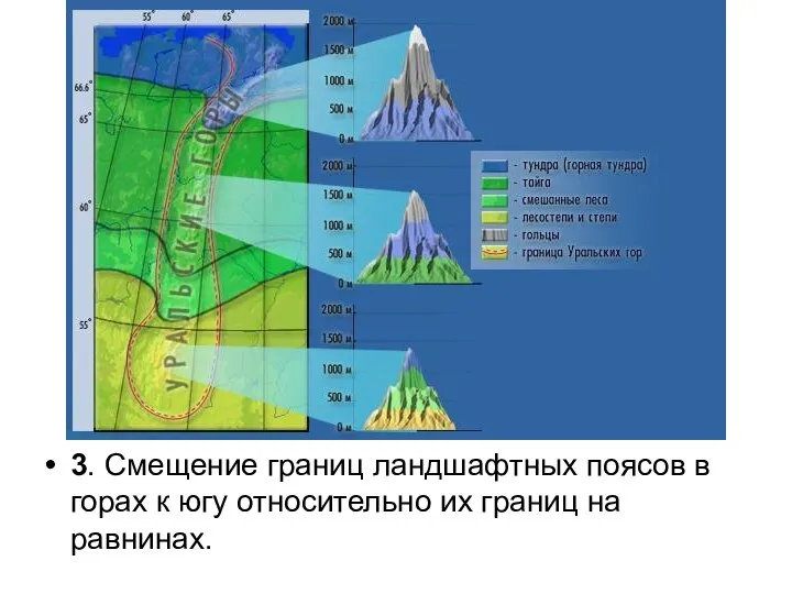 3. Смещение границ ландшафтных поясов в горах к югу относительно их границ на равнинах.