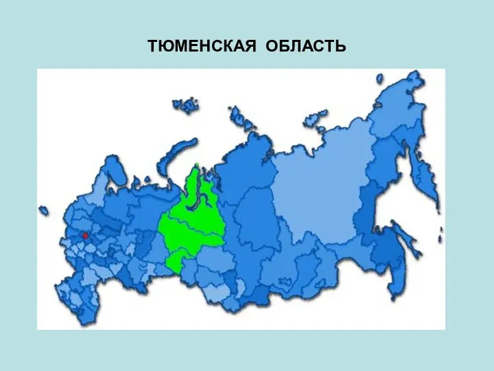 ТЮМЕНСКАЯ ОБЛАСТЬ