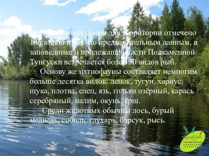 В настоящее время для территории отмечено 145 видов птиц. По предварительным