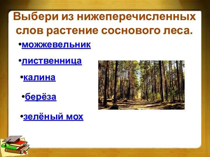 Выбери из нижеперечисленных слов растение соснового леса. можжевельник лиственница калина берёза зелёный мох