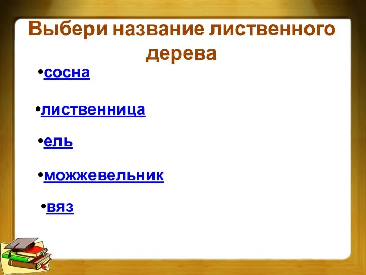 Выбери название лиственного дерева вяз лиственница сосна ель можжевельник