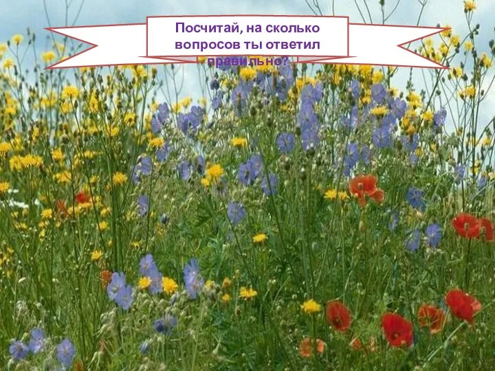 Посчитай, на сколько вопросов ты ответил правильно?